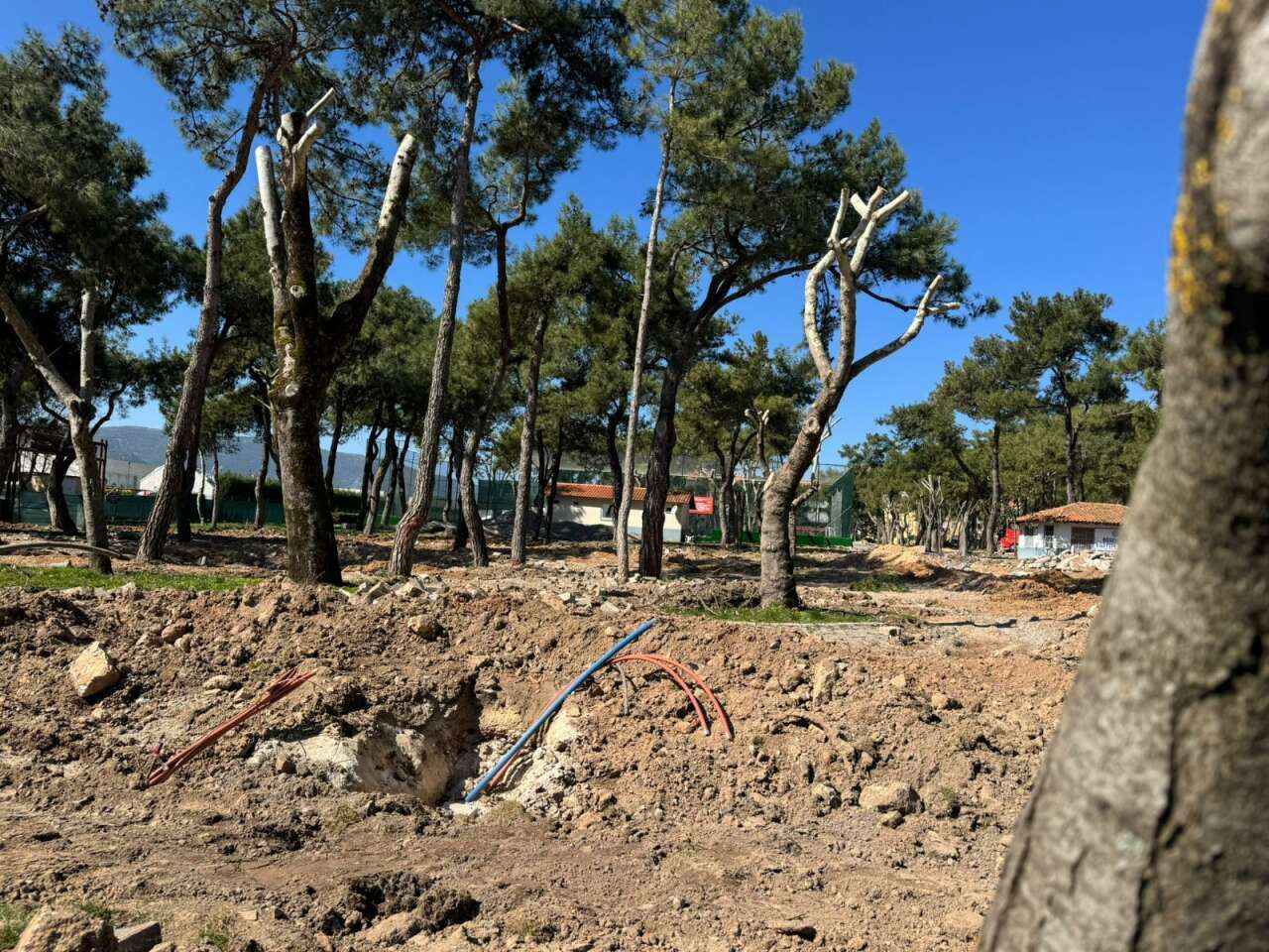 Muğla'daki Parklarda “Beton” Tartışması Büyüyor: 2 Dönümlük Alana 6,4 Milyon TL’lik Yenileme Projesi Gündemde 6